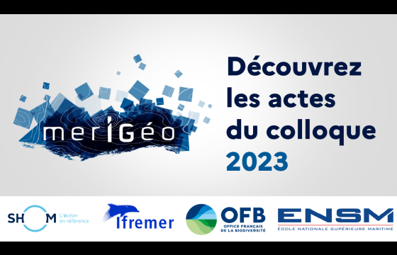 vignette actes colloque merigéo 2023