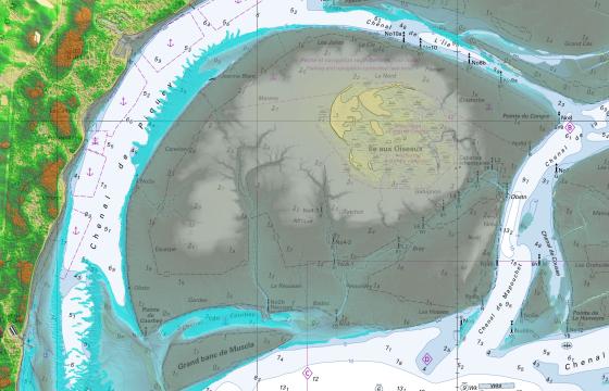 Modélisation Litto3D de l'île aux oiseaux dans le bassin d'Arcachon