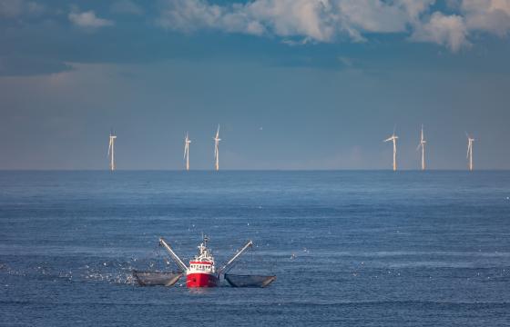 Bateau de pêche devant un champ d'éoliennes